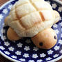 カメメロンパン&チョコメロンパン
