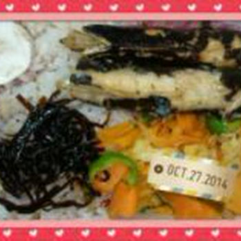 10/27　秋刀魚弁当