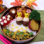 うずらたまごどんぐりで秋弁当〖デコ弁〗  #平日お昼ご飯はお弁当or外食