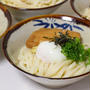 【うどん】妹の手のひらでコロコロ転がされる兄…(°▽°)