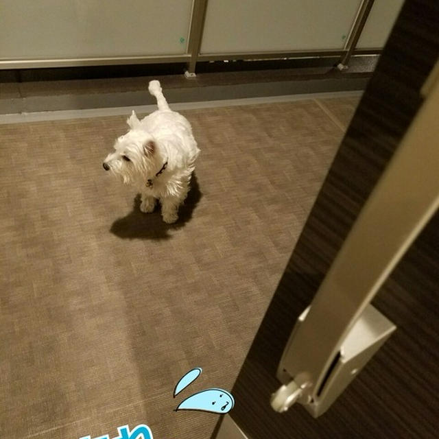ぼくもいくよ！