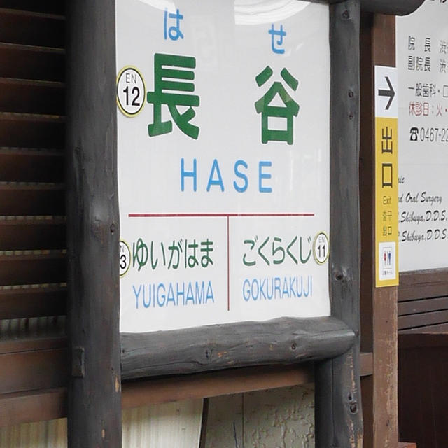 鎌倉の長谷寺で紫陽花見てきました