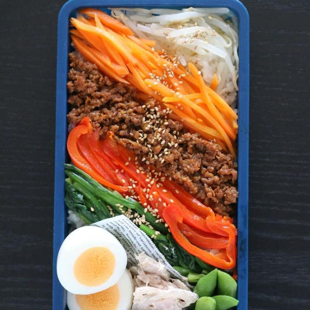 男子高校生弁当