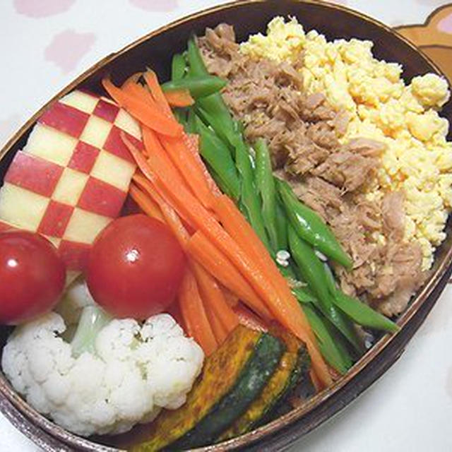 四色そぼろ弁当。人間疑惑の猫