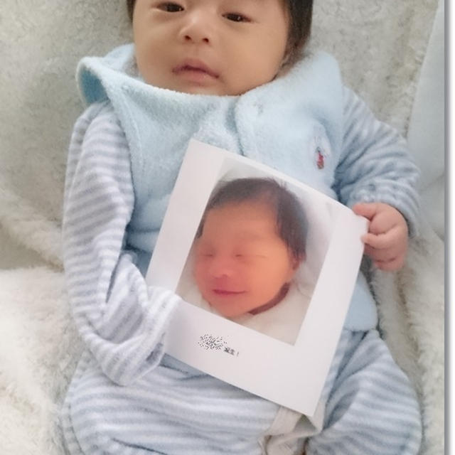 毎月１回、無料で作れる小さな写真集