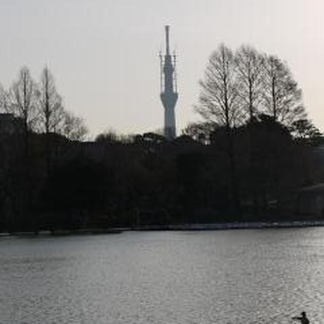 東京散策