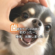 歯磨きサプリ生活終了。1ヶ月後の検体出陣！