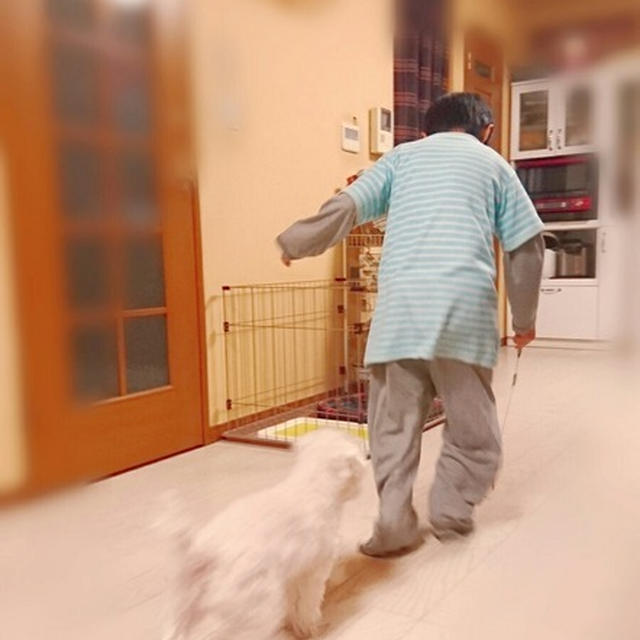 工作男子の作った最低な装置ww