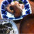 晩ご飯