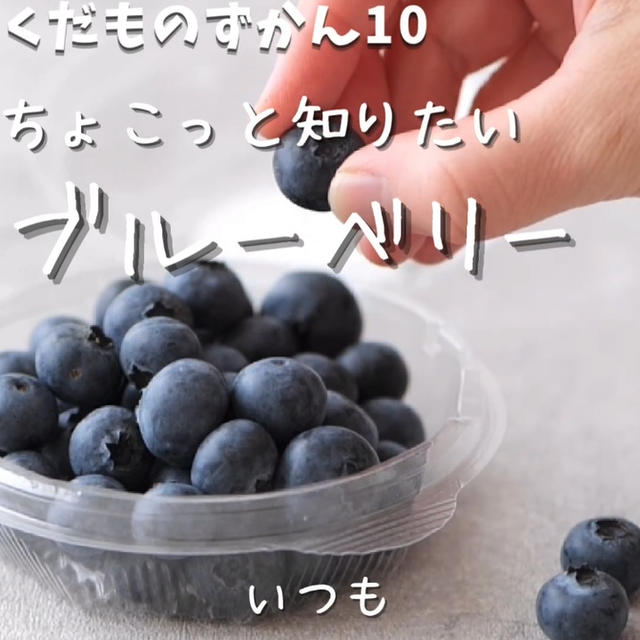 旬の美味しさ、色味鮮やかブルーベリー