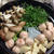 鶏団子鍋とお刺し身♪