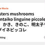 Oysters mushrooms mentaiko linguine piccole 🍝🍄　かき、きのこ、明太子リングイネピッコレ