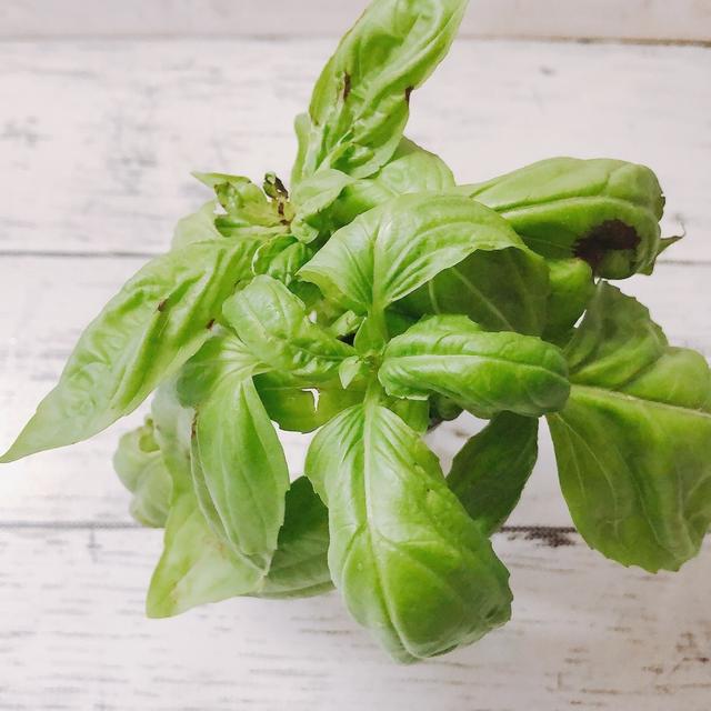 1.水耕栽培　買ってきたバジルを水に入れるだけ！　リポベジ　リボーンベジタブル野菜の再生