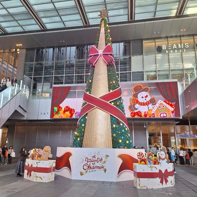 名古屋駅　クリスマスイルミネーション　と越前かに