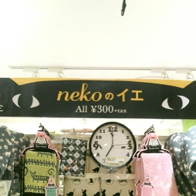 大人気にゃ☆nekoのイエ～スリーコインズ