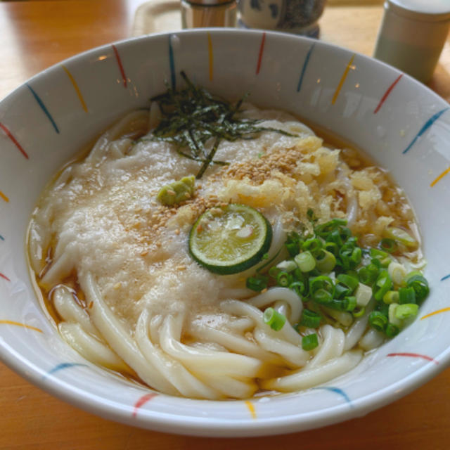 冷やし山かけうどん