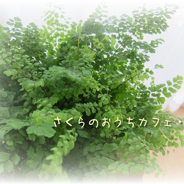 少しだけ、お休みさせて頂きます。