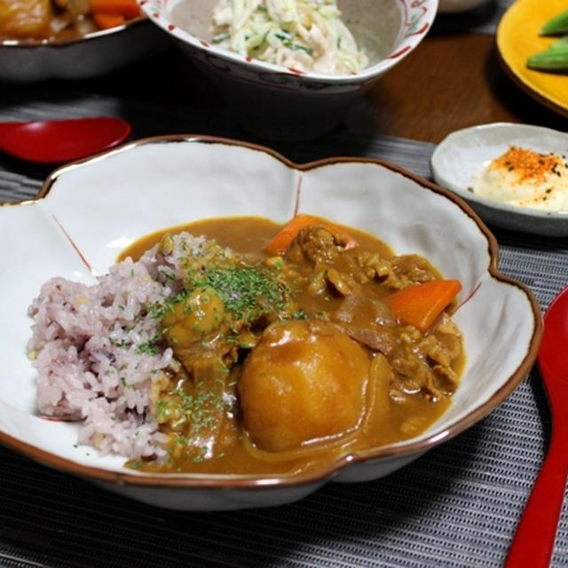 カレーライスで＊おうちごはん