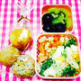 女子中学生のお弁当