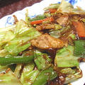 豚肉とキャベツの辛味噌炒め（レシピ付）