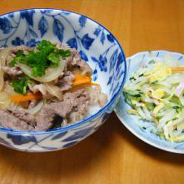 牛丼　＆　春雨サラダ