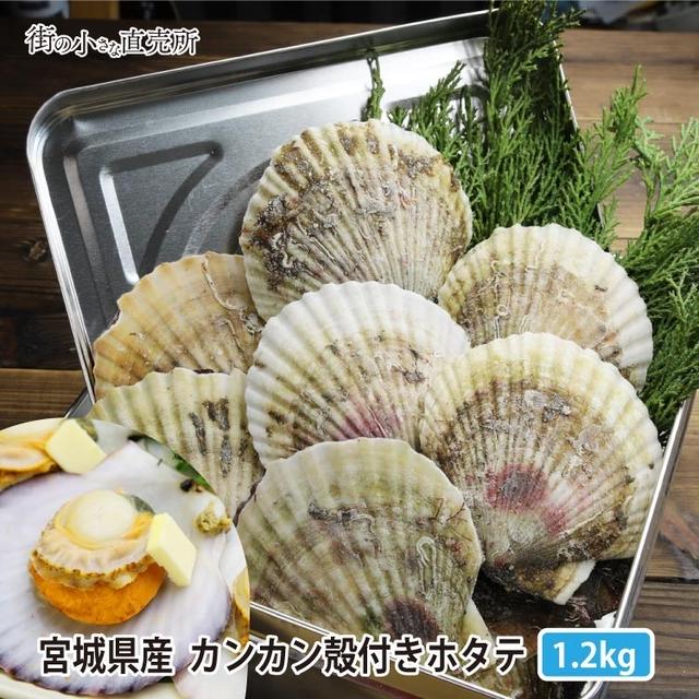 最大半額＋30%オフ!? ♪宮城県WEB物産展