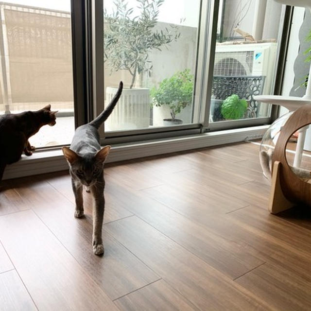 日常の、何気ないヒトコマですが…