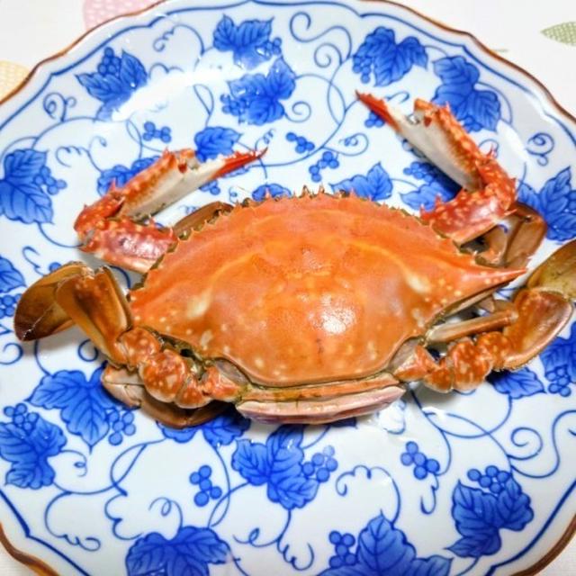天草土産のワタリカニを食す　