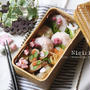 お花見弁当～Cherry blossom party bento