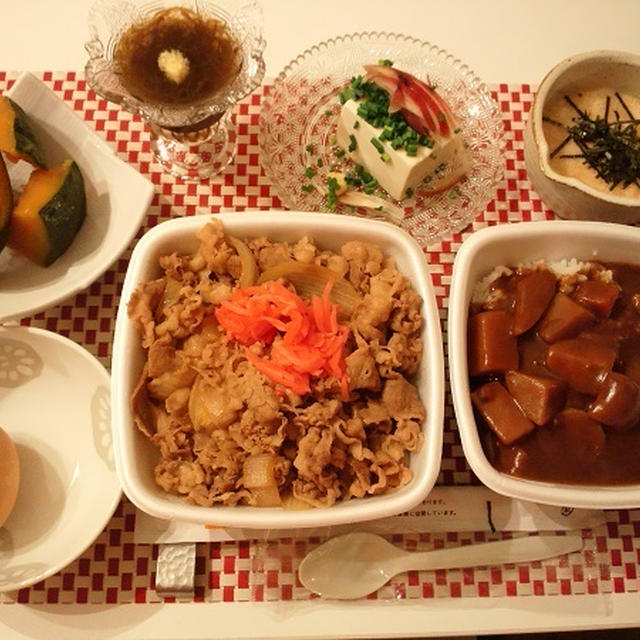 テイクアウトの牛丼＆カレーとか