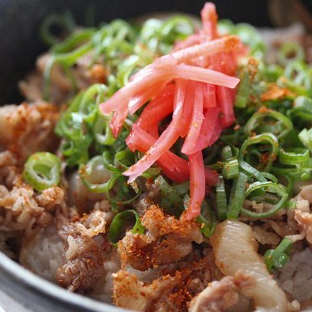 ねぎ牛丼