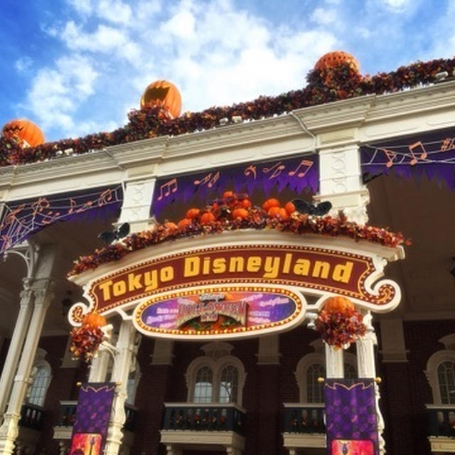 TDR♡