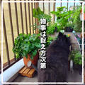 朝から大惨事!