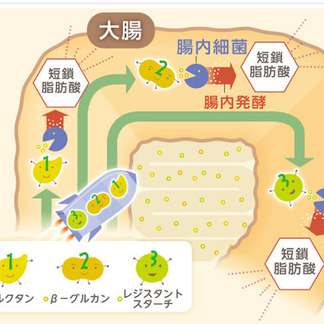 酪酸菌を育てる！食物繊維いっぱい♪キクラゲとフキの冷製トマトパスタ♪
