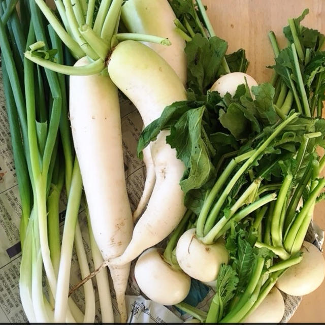野菜を食べよう！[大根おすすめレシピ]