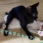 暑さに遠慮はございません