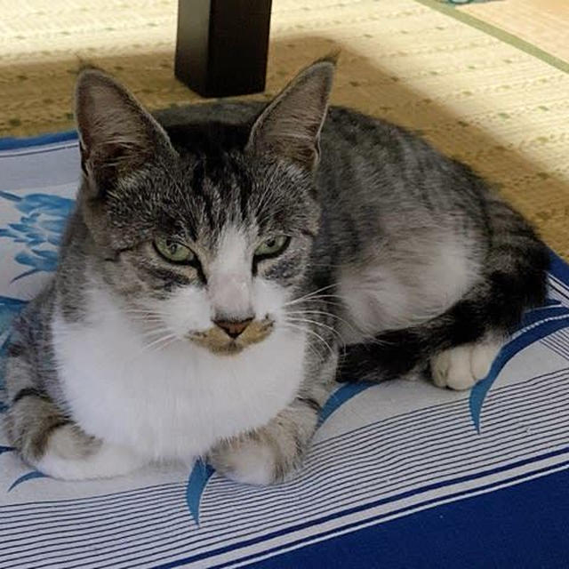 重たい頭〜やっとこ自宅に帰還