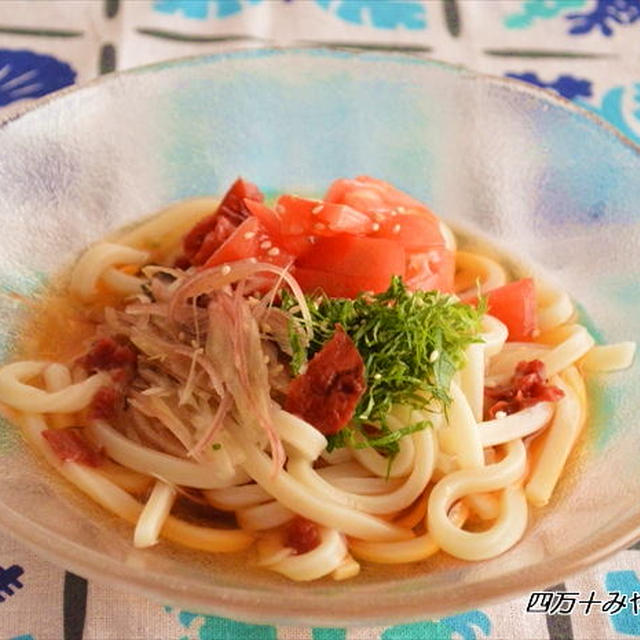 火を使わずに簡単！さっぱり梅味 夏の冷やしうどん