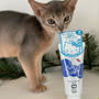 【楽天大感謝祭】で日用品や猫グッズをお買い物