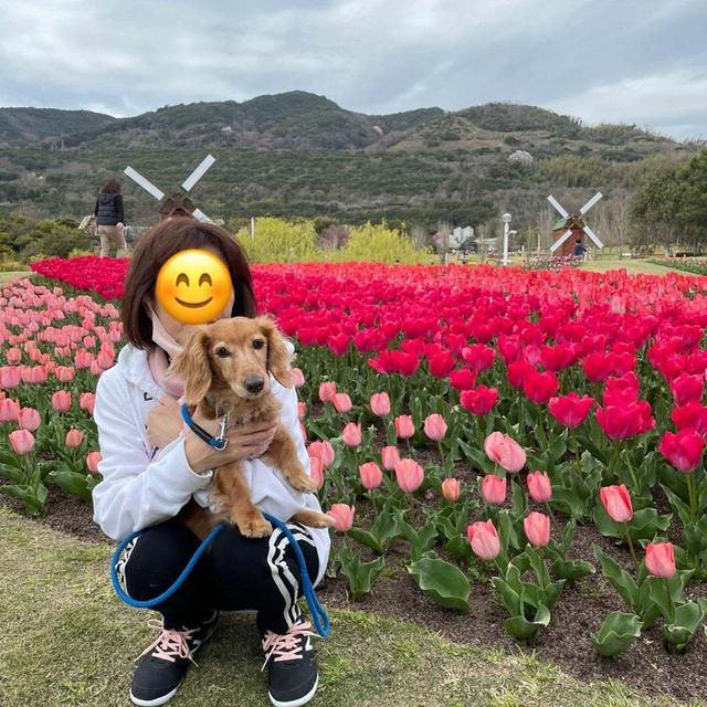 春なのに