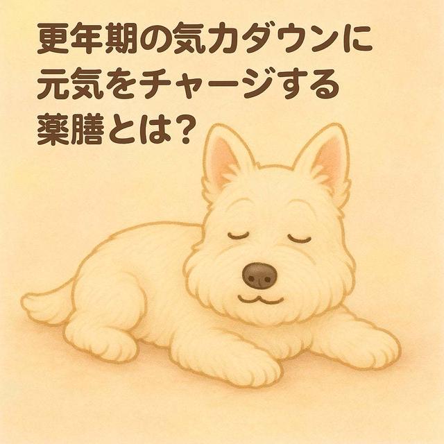 更年期の気力ダウンに！元気チャージする薬膳とは？