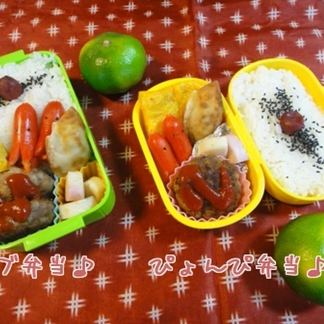 ９月２６日　ハンバーグ　～　男子高校生　＆　小学生お留守番弁当