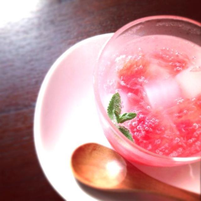 【 シュワシュワ 柑橘ゼリー 】