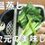 クッキングプロのスロ―調理で野菜の低温蒸し(ソフト蒸し）