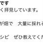 お悩み相談です「ズッキーニの飽きない食べ方が知りたい」