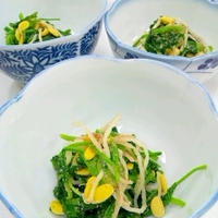 豆もやしとほうれん草のスパイシー胡麻和え
