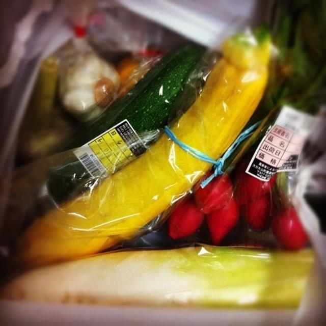 夏のカラフルお野菜～