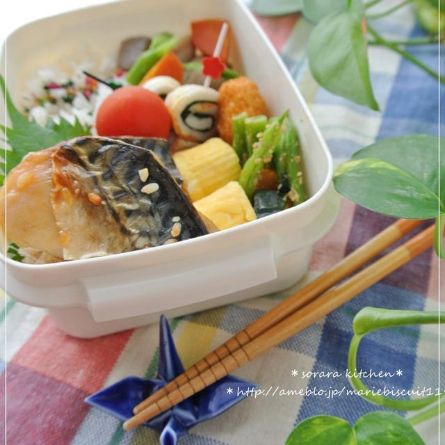 塩鯖弁当〜♪