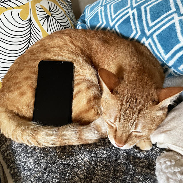 iPhone台トラ