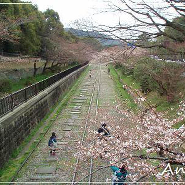 ☆2012 春の京都④：インクライン☆